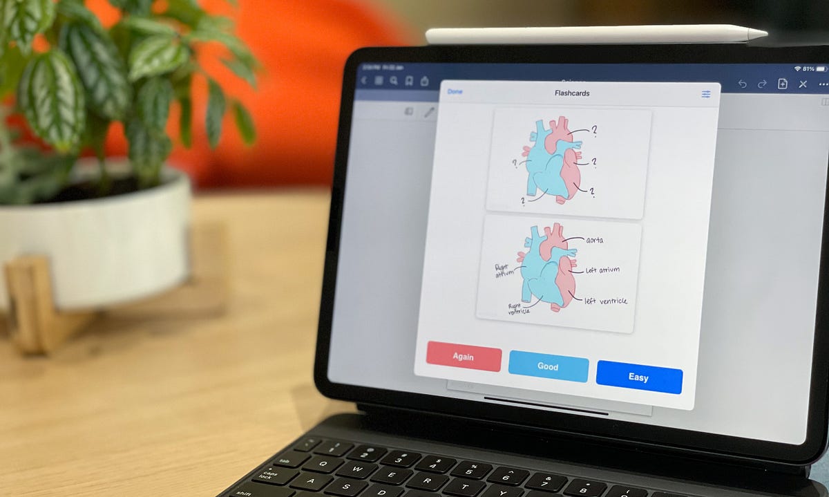 How to Study More Effectively with Digital Flashcards by GoodNotes