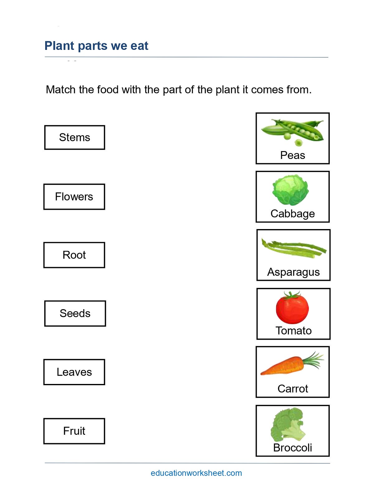 Fun and Educational Grade 2 Science Worksheet Match the Food with