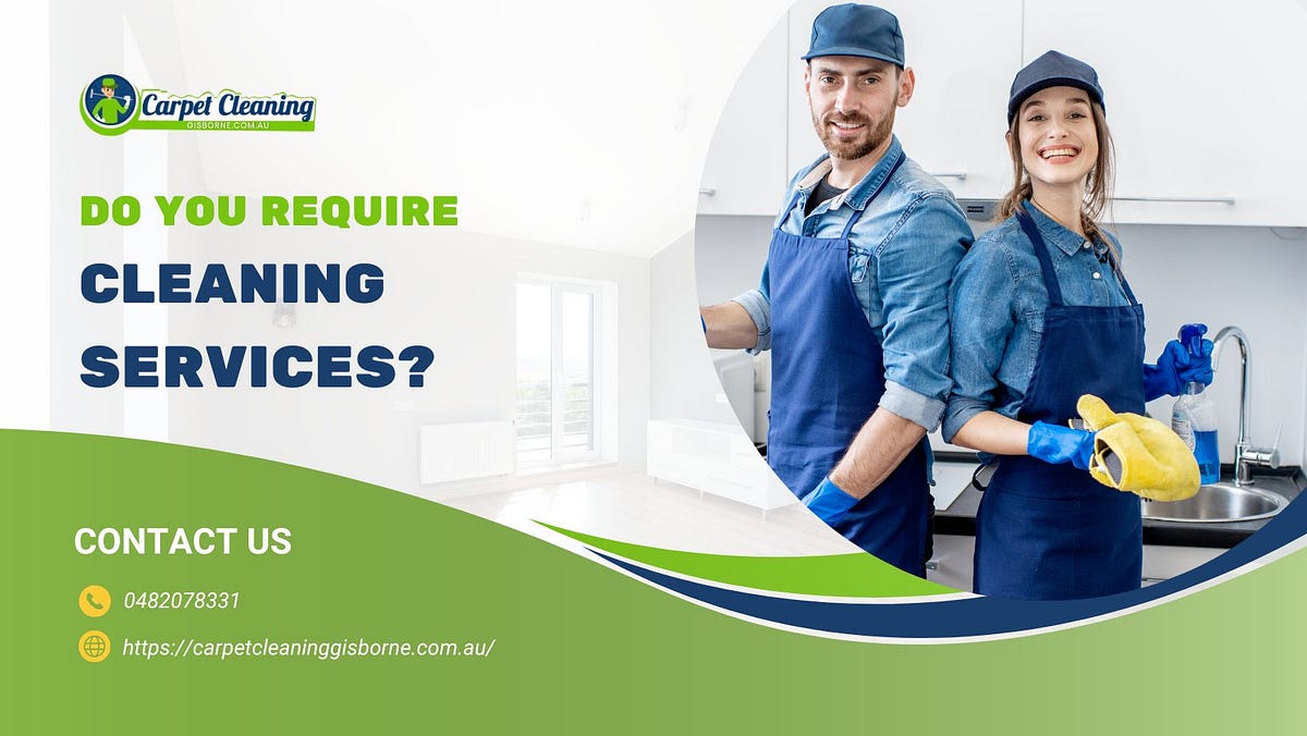 What to Do If Your Carpet Gets Chewed Up by Carpet Cleaning Gisborne