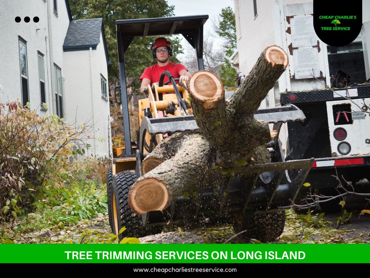 Tree Contractors Near Me — Ridge, NY by Cheap Charlie's Tree Service