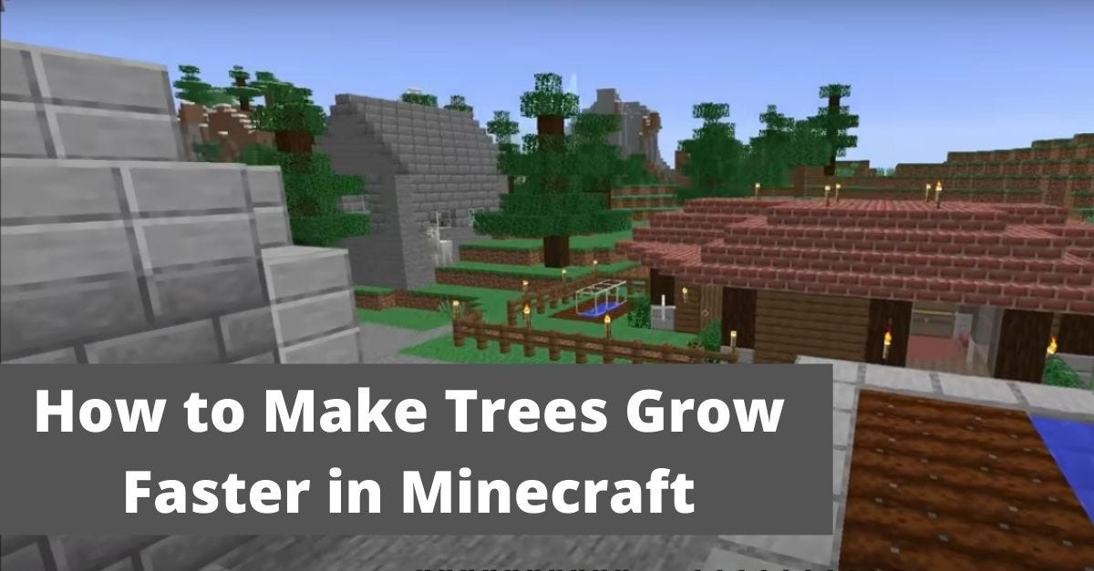 How to Make Trees Grow Faster in Minecraft 2022 by Techone Solution Medium