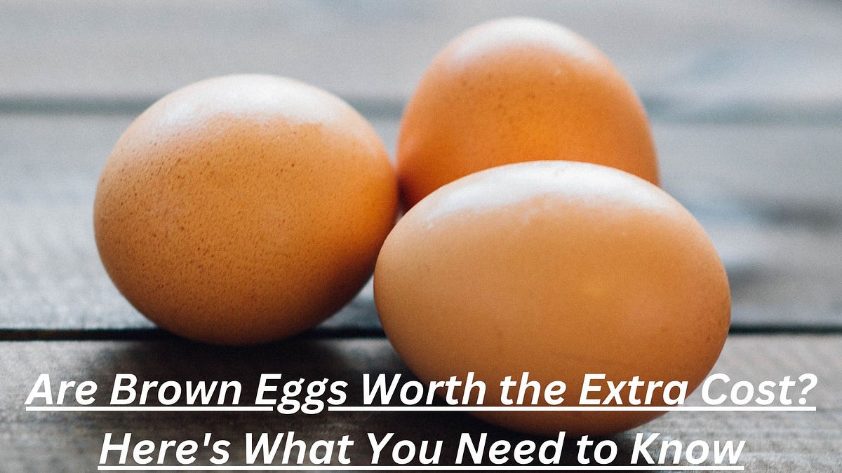 Are Brown Eggs Worth the Extra Cost? Here’s What You Need to Know by
