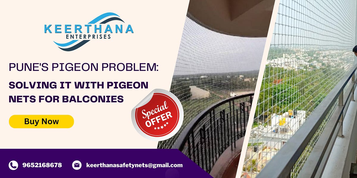 Pune’s Pigeon Problem Solving it with Pigeon Nets for Balconies by