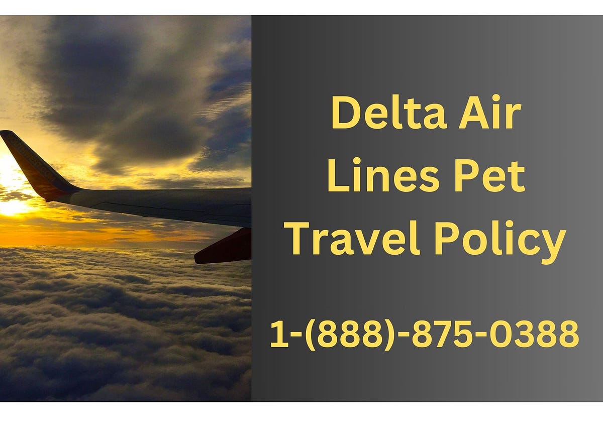 Delta Air Lines Pet Travel Policy by Rayanwarn Sep, 2023 Medium
