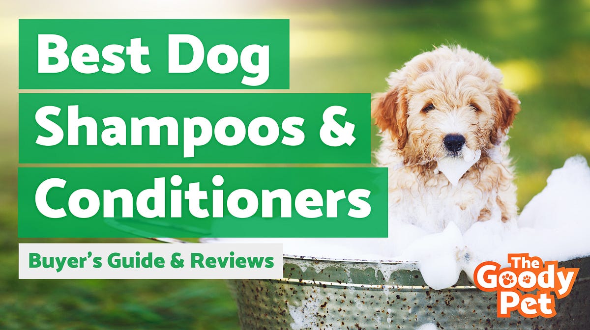 Best Dog Shampoos & Conditioners. Every pooch needs to be regularly
