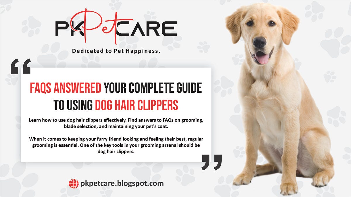 Your Complete Guide to Using Dog Hair Clippers FAQs Answered by Pk Pet Care Medium
