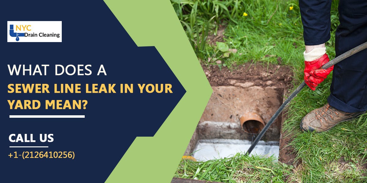 What Does A Sewer Line Leak In Your Yard Mean? by NYC Drain Cleaning