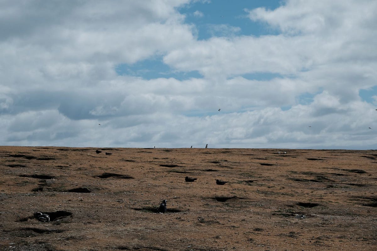 Chamfer distance visualization in Python and JS by Oliver K. Ernst