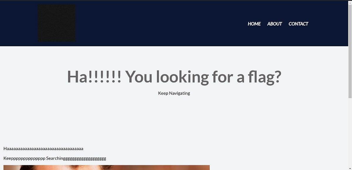 picoCTF — Decode Harvey Medium