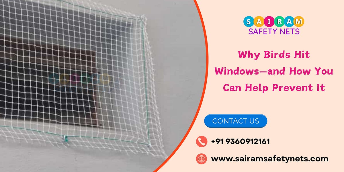 Why Birds Hit Windows — and How You Can Help Prevent It by Sai Ram