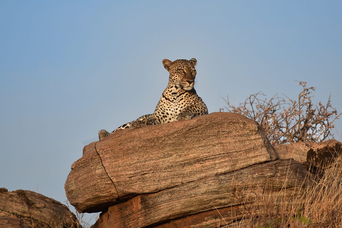 What is the best time of year to visit Kenya? by Jemba najib May