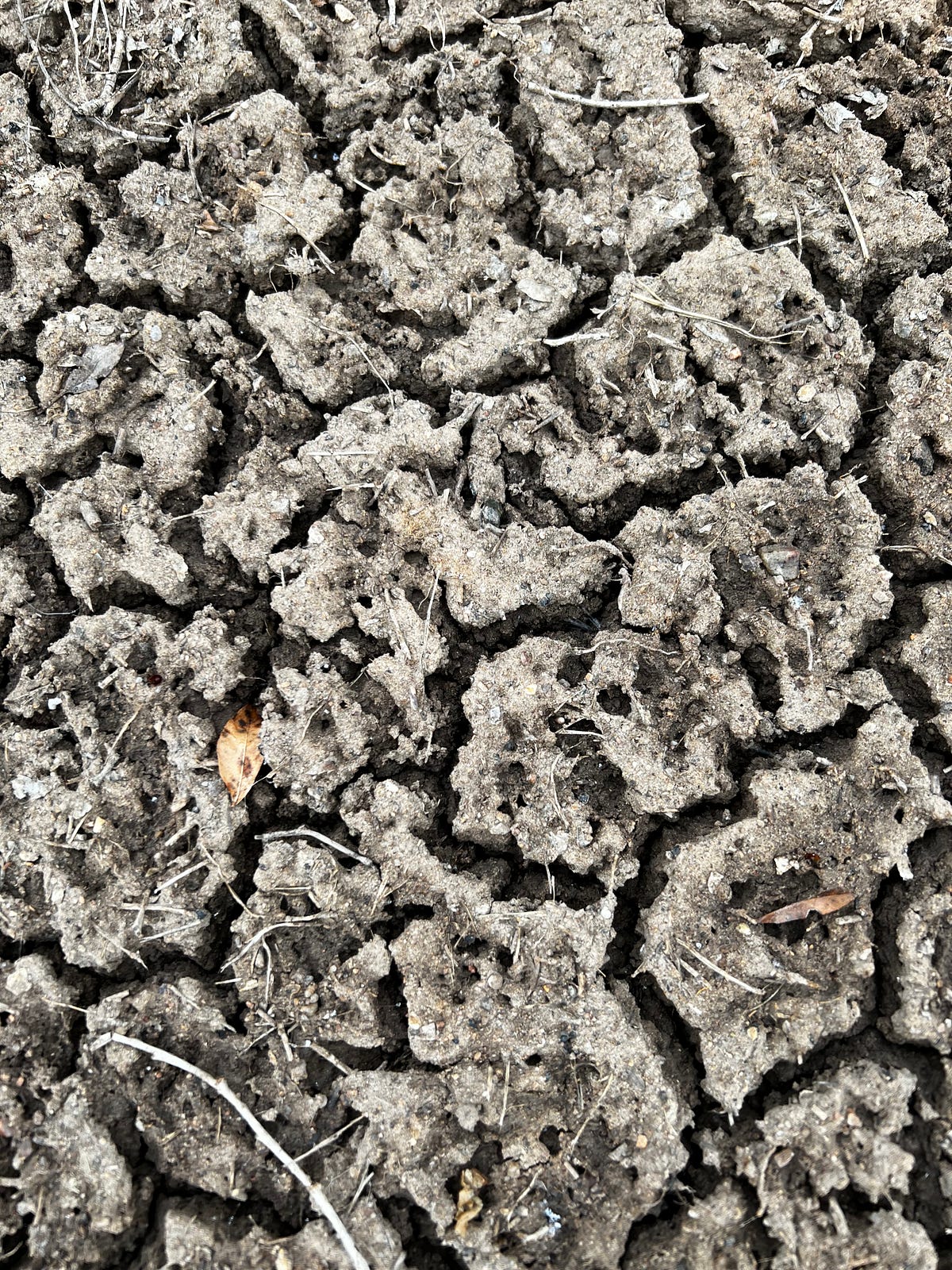 Why is it Illegal to Capture Rainwater in CO? Grayson Acri Medium