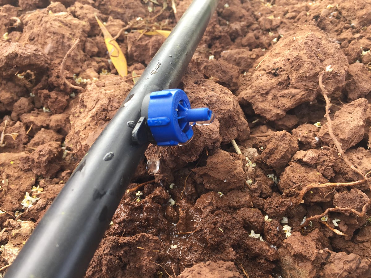Reducing the Drip of Irrigation Energy Costs by USAID Water Team Global Waters Medium