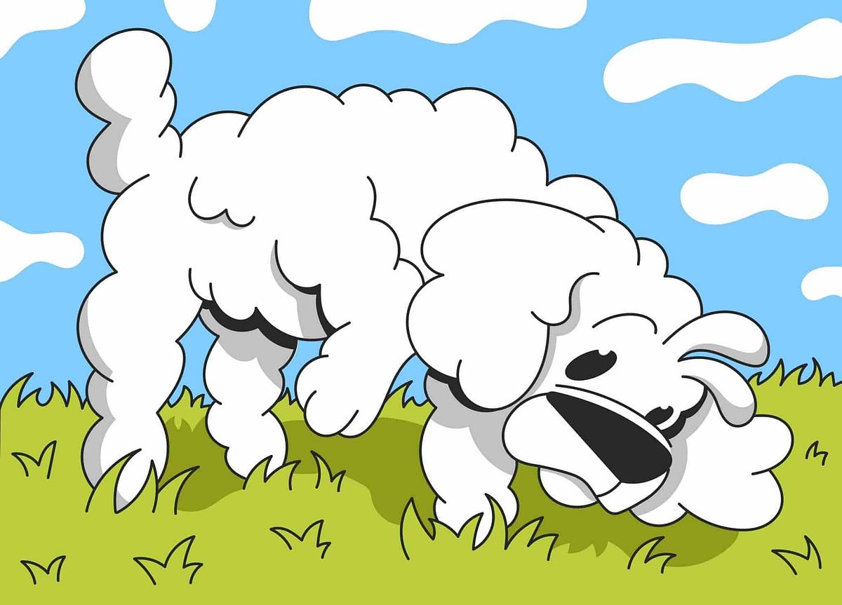 Dog Sniffing Explained. Dogs sniff for many reasons, but… by Petcube