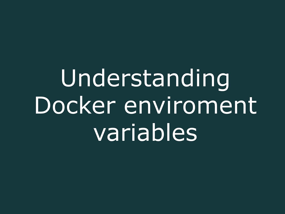 Understanding how to use environment variables in Docker by