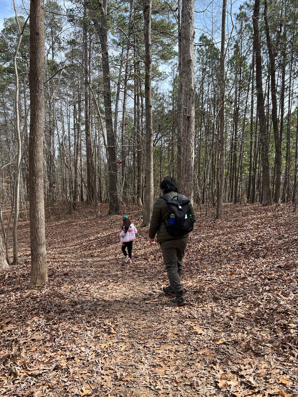 Best Kids friendly hiking destination in Raleigh, NC by M Josh Medium