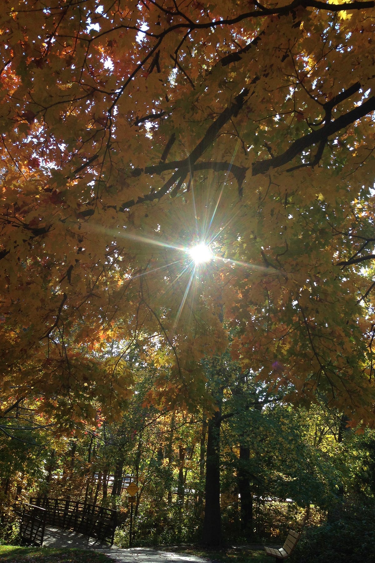 What’s Up With This Weather?. Don’t get me wrong, I love it, but… by