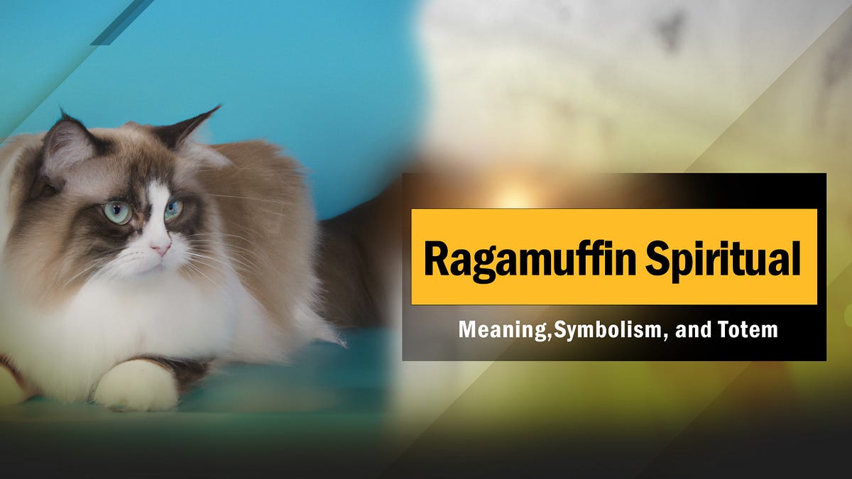 Ragamuffin Spiritual Meaning, Symbolism, and Totem puppyplaying Medium