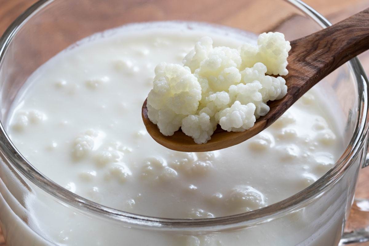 Is it worth it to drink kefir at night by rahul kakkar Medium