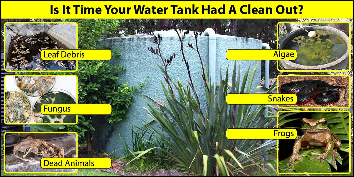 Cleaning Tips for Your Water Tank Ward Septics Medium