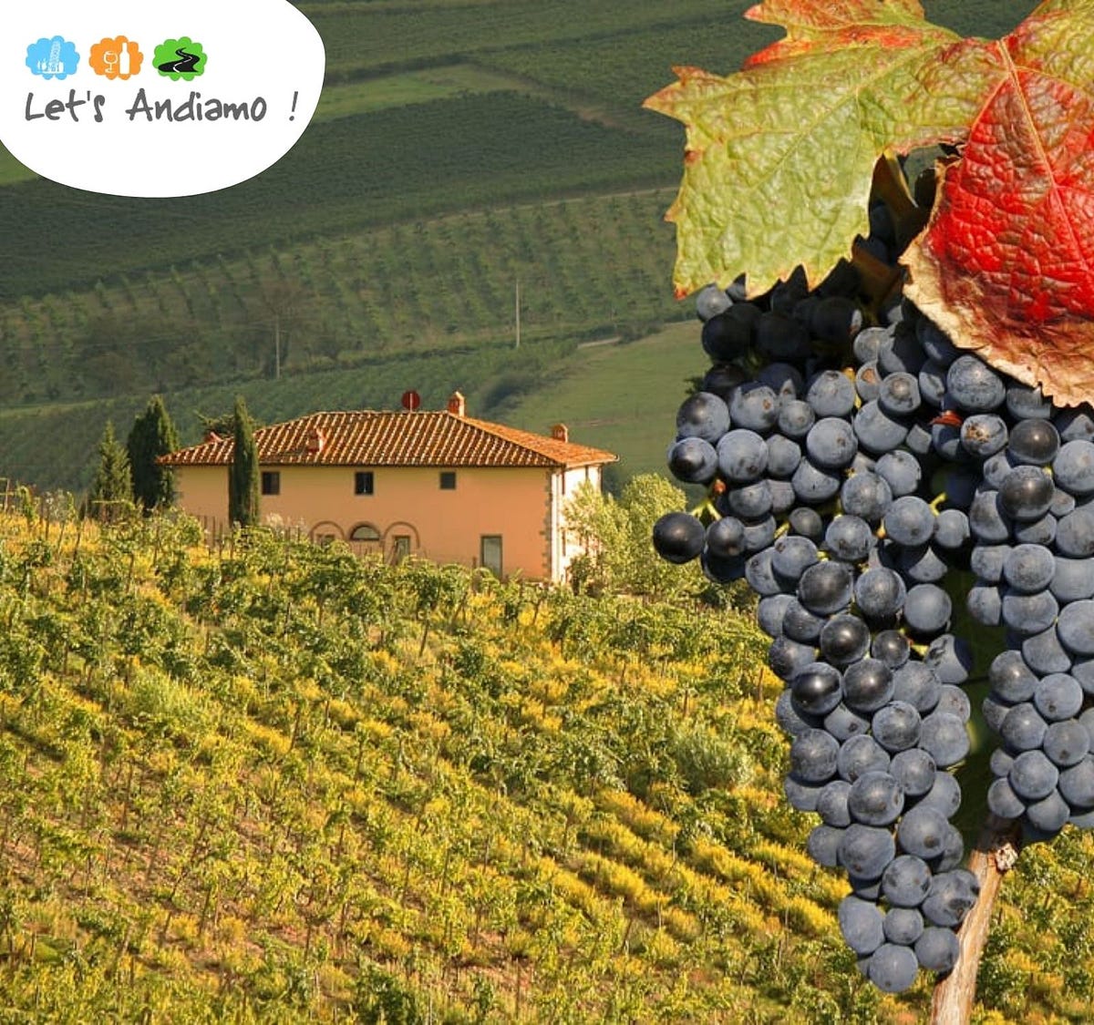 Top 4 Historic Wineries to Visit in Tuscany by Let's Andiamo Medium
