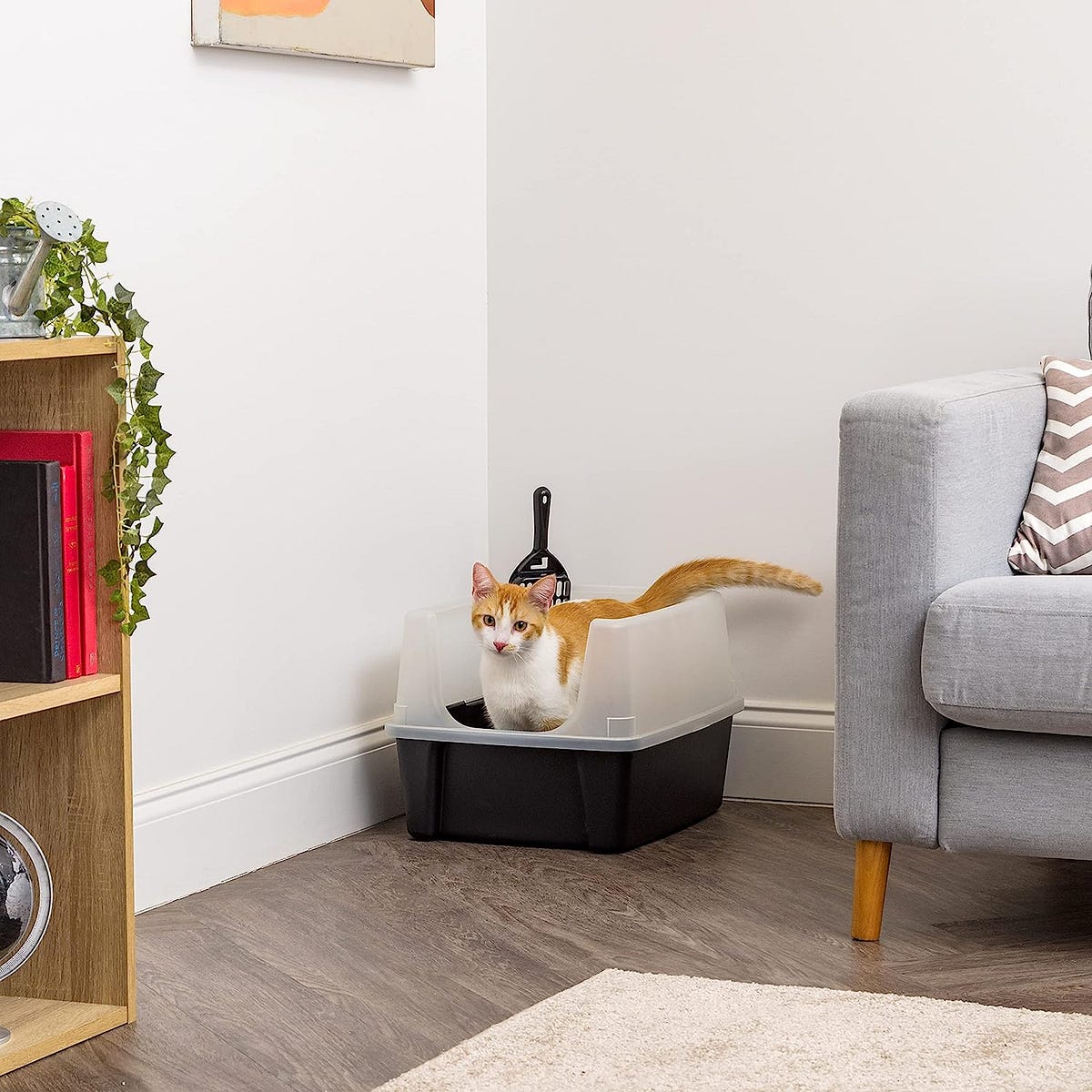 IRIS USA Open Top Cat Litter Tray The Ultimate Solution for Your Cat