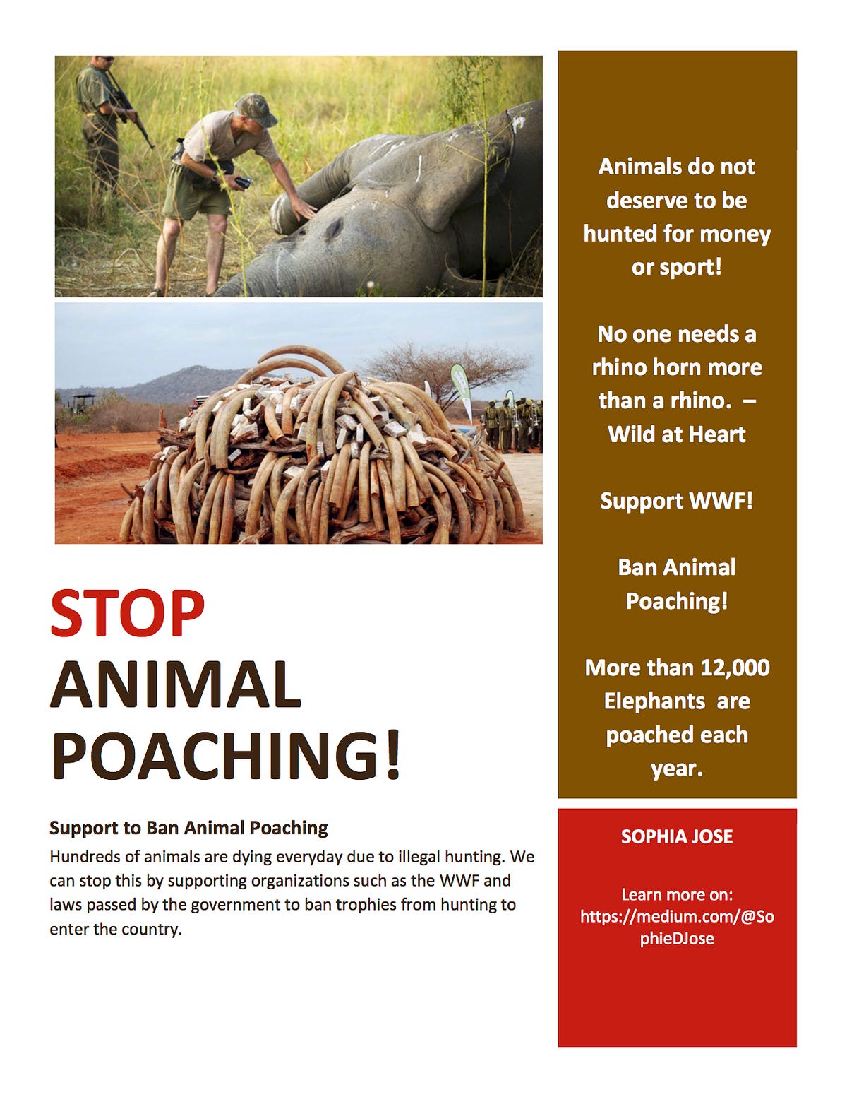 Stop Animal Poaching Poster by SophieDJ Medium
