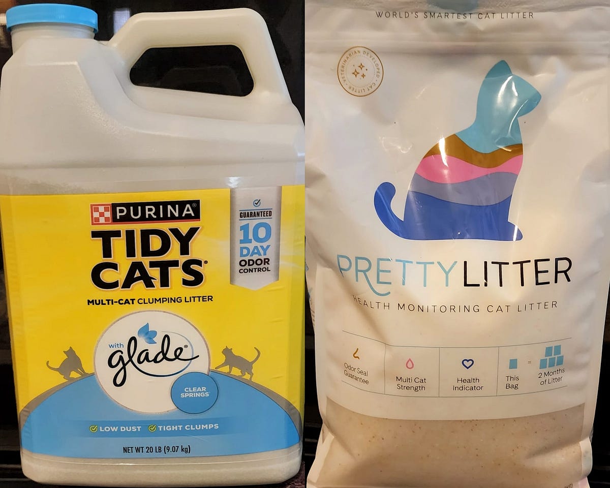 Michigander Edward Lowe and His Purrfect Invention Kitty Litter by