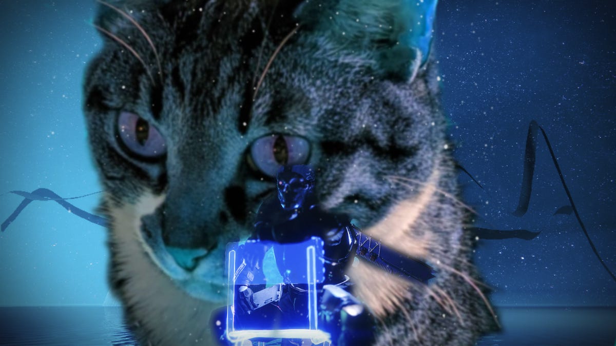 How to fix Error Code CAT in Destiny 2 by Christian Dawson The Rejection Pile Medium