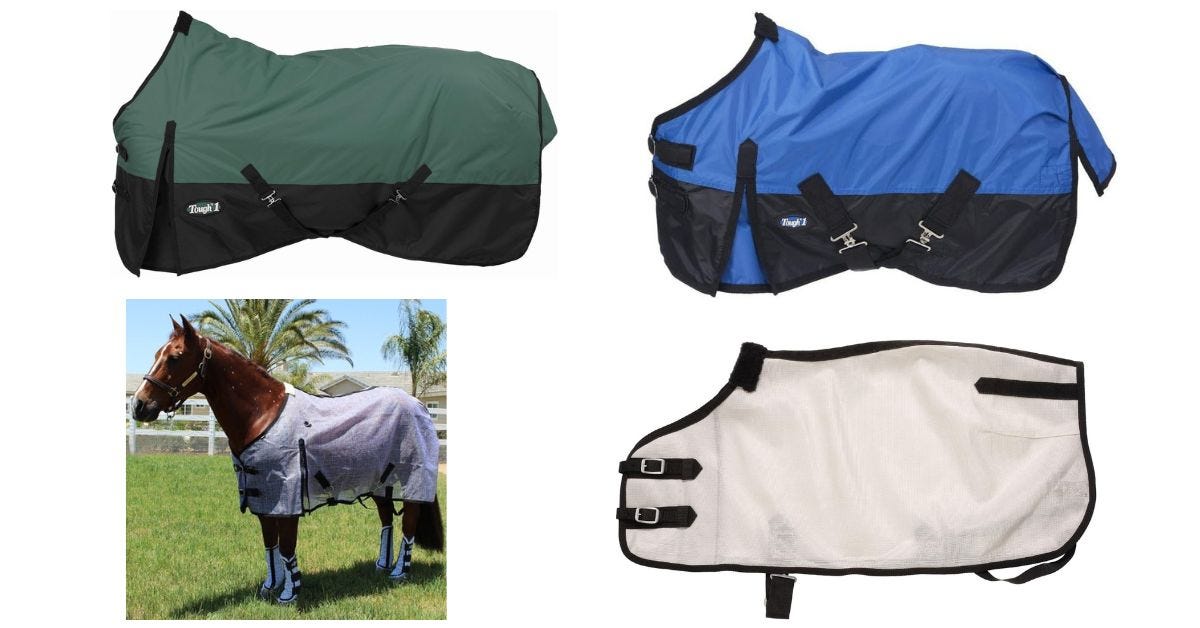 6 Best Fly Sheets for Horses in 2024 (Your Ultimate Buying Guide) by