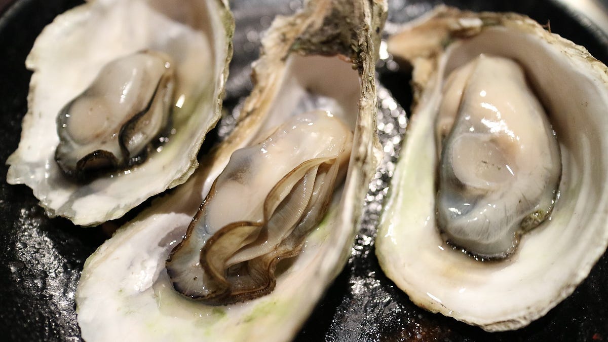 10 Arousing Facts About Oysters. Revealing Oysters’ Aphrodisiac… by Kimberly Us Medium