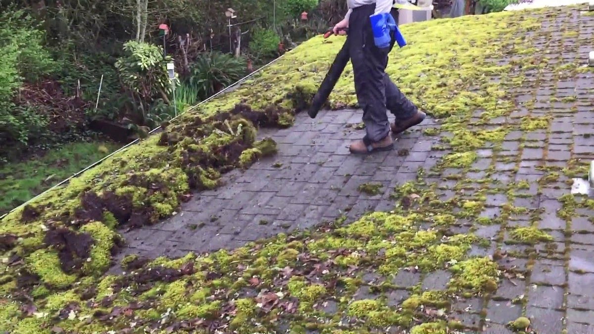 Roof Cleaning — How to Remove Moss and Algae From Your Roof by Roof