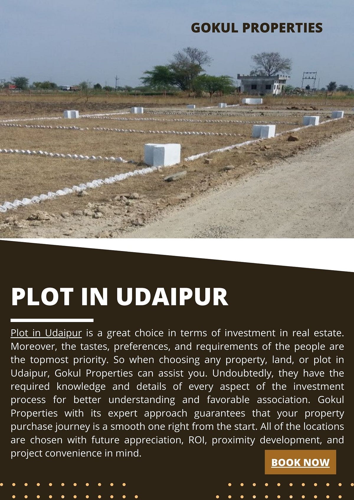 Plot in Udaipur Gokulproperties Medium