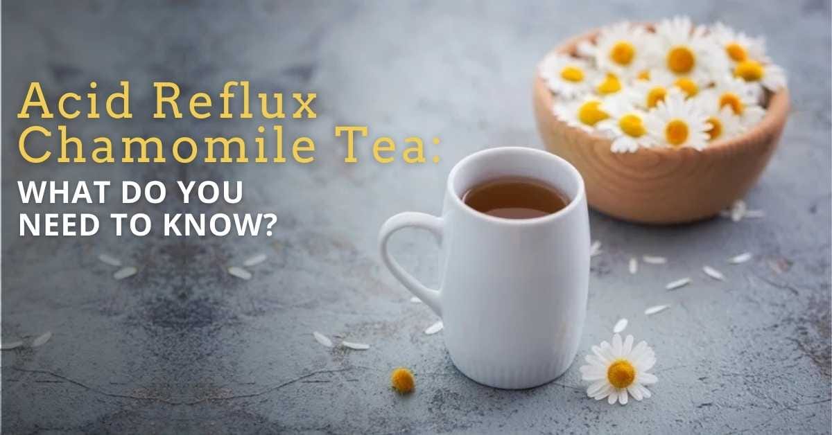 Acid Reflux Chamomile Tea What Do You Need To Know? Sheas Apothecary