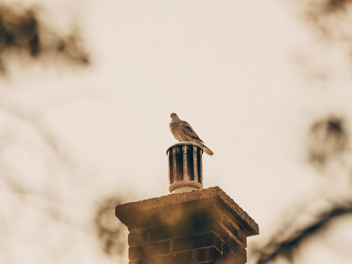 When Should You Replace Your Chimney’s Liner? by A Step in Time