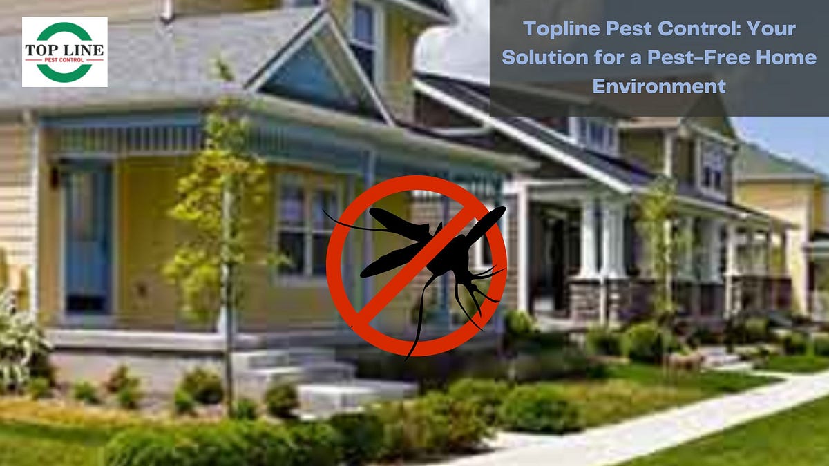 Topline Pest Control Your Solution for a PestFree Home Environment
