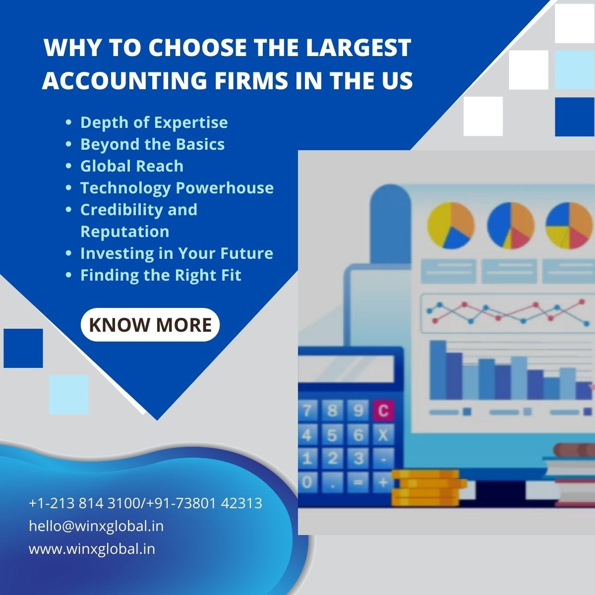 Why to Choose the Largest Accounting Firms in America by Winxglobal