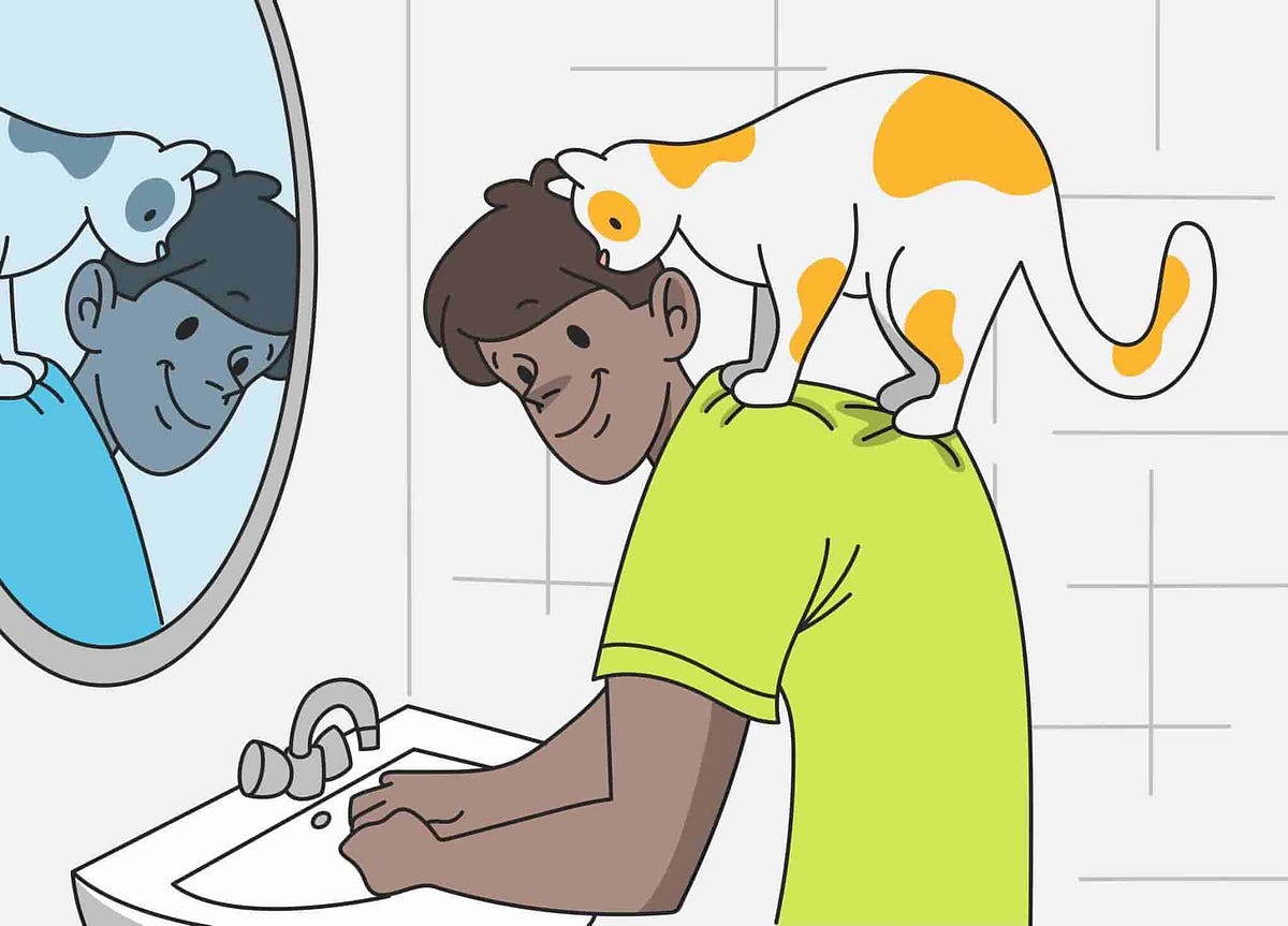 Clingy Cats Why Does My Cat Follow Me? by Petcube Jun, 2023 Medium