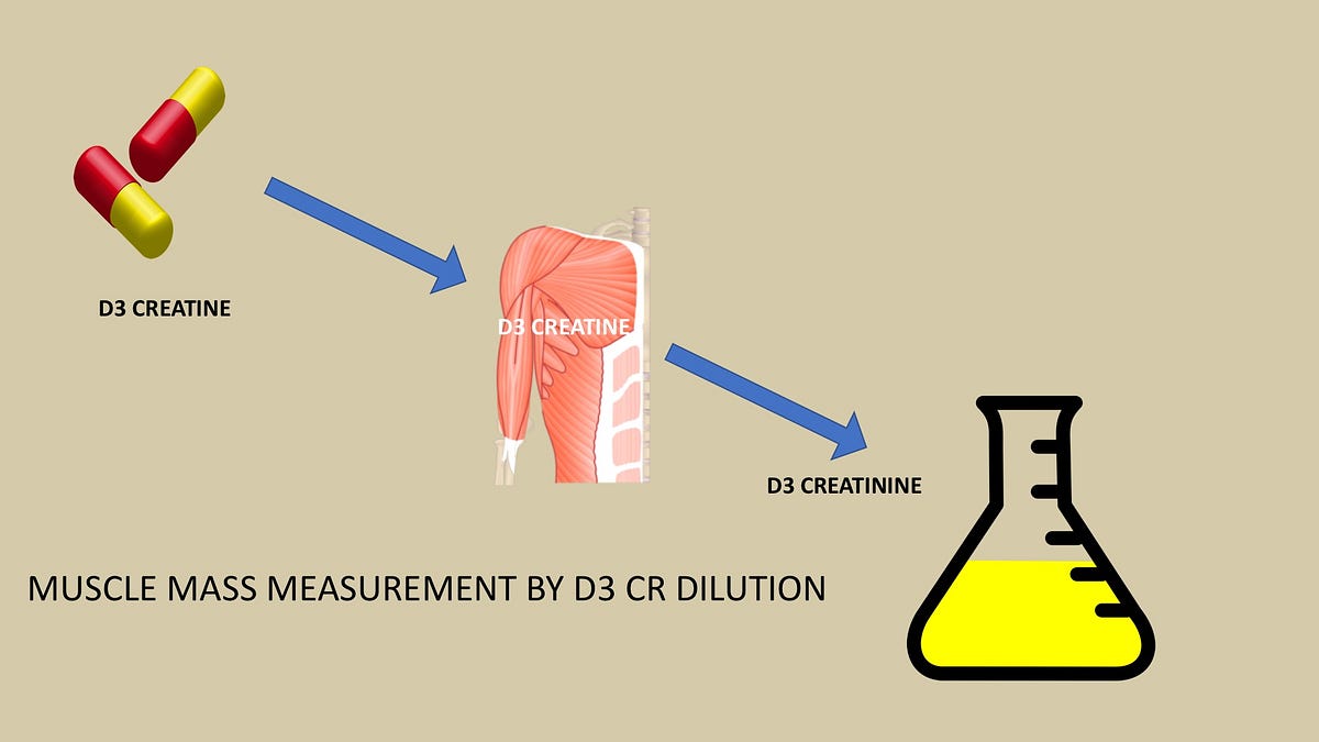 D3Creatine Dilution and the Importance of Accuracy in the Assessment