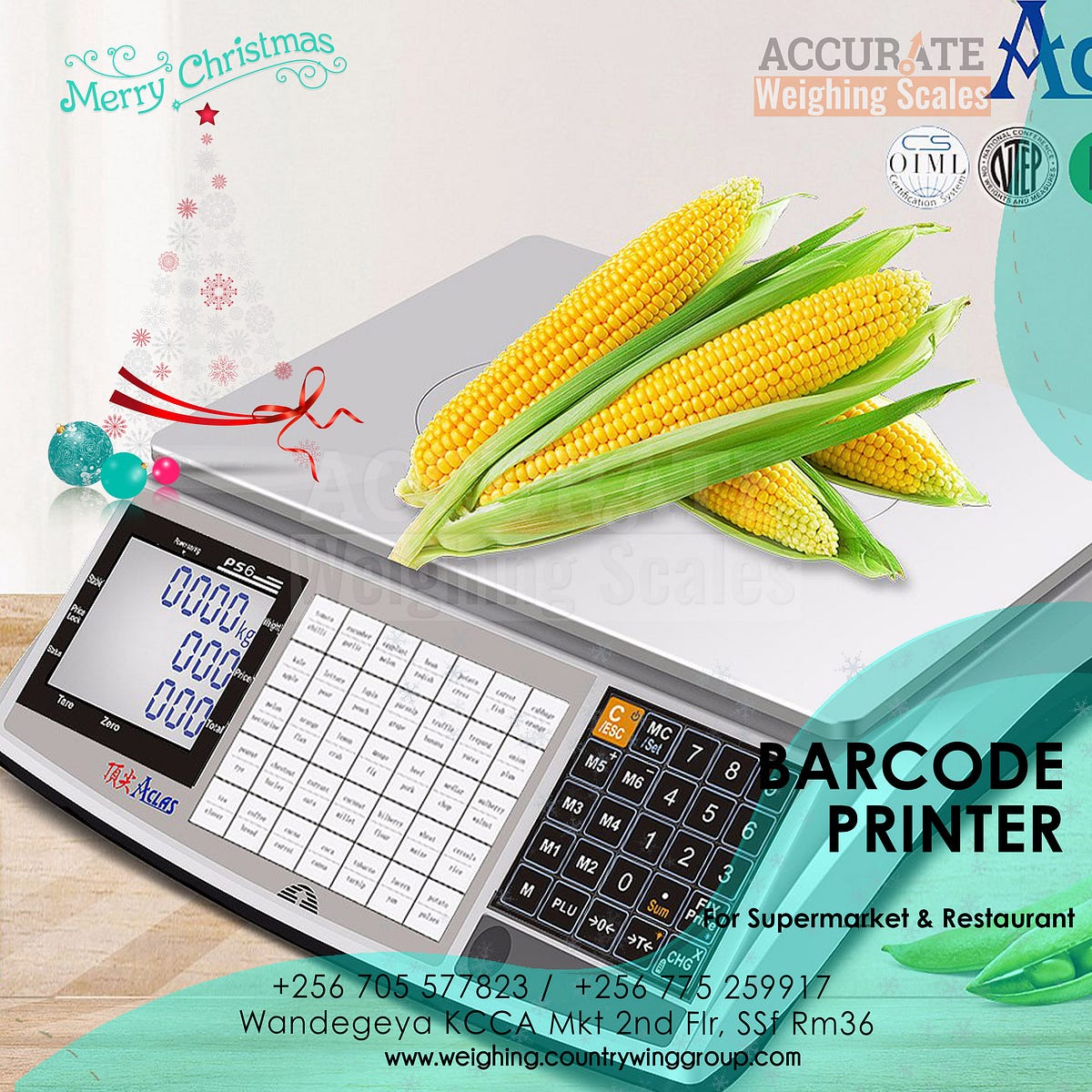 TM30kg Electronic Label printer scale in Kampala Weightsu Medium