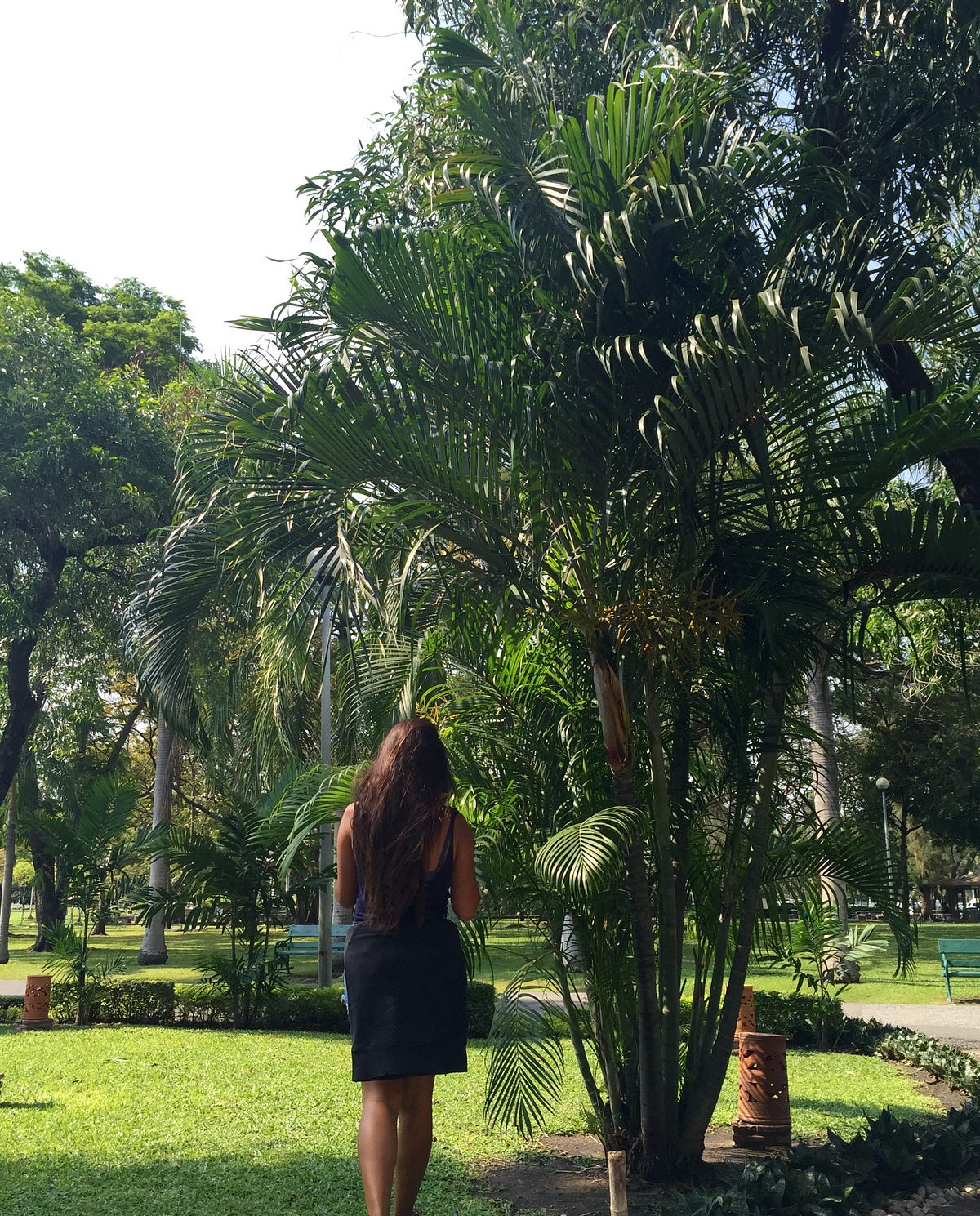 The Pruning Shears of Revision.. At the end of everyday, if any events