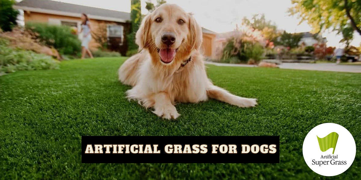 Creating the Perfect DogFriendly Backyard with Artificial Grass Tips