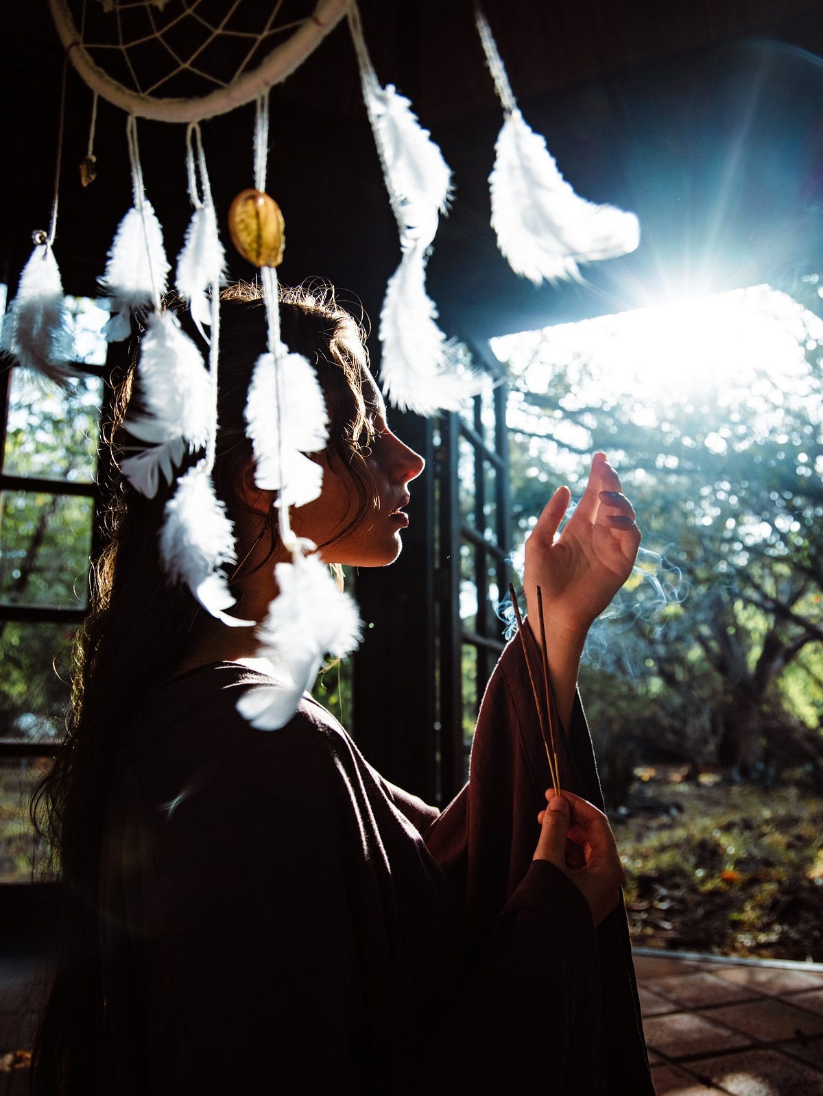 SelfAppointed Shamans Coming to a community centre near you. by