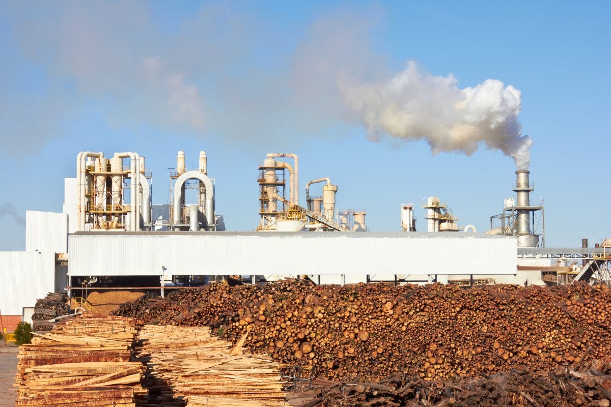 The Environmental Impact of Paper Why Going Paperless Matters by