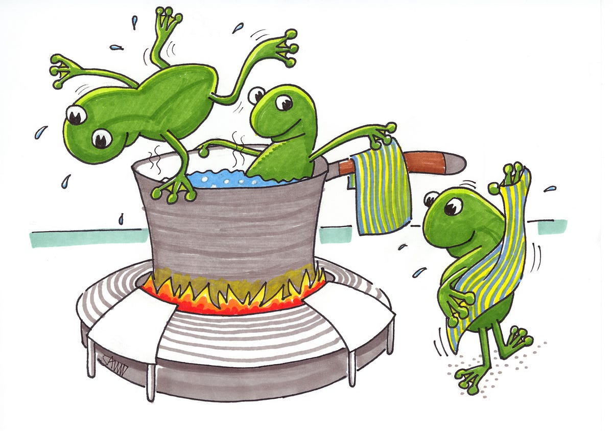 Simon Wardley, boiling frogs at GCHQ Andreas England Medium