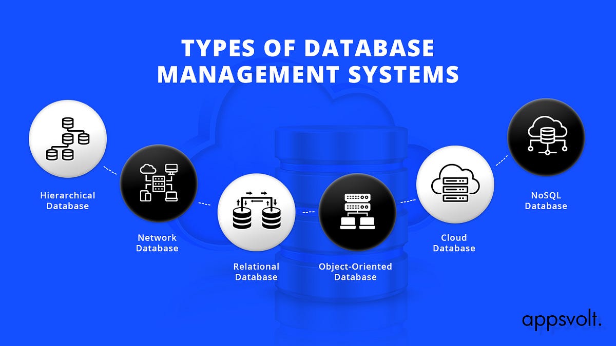 What is a Database Management System? Types, Functions, and Components