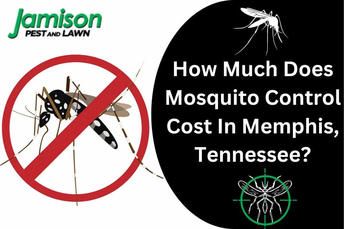 How Much Does Mosquito Control Cost In Memphis, Tennessee? Jamison
