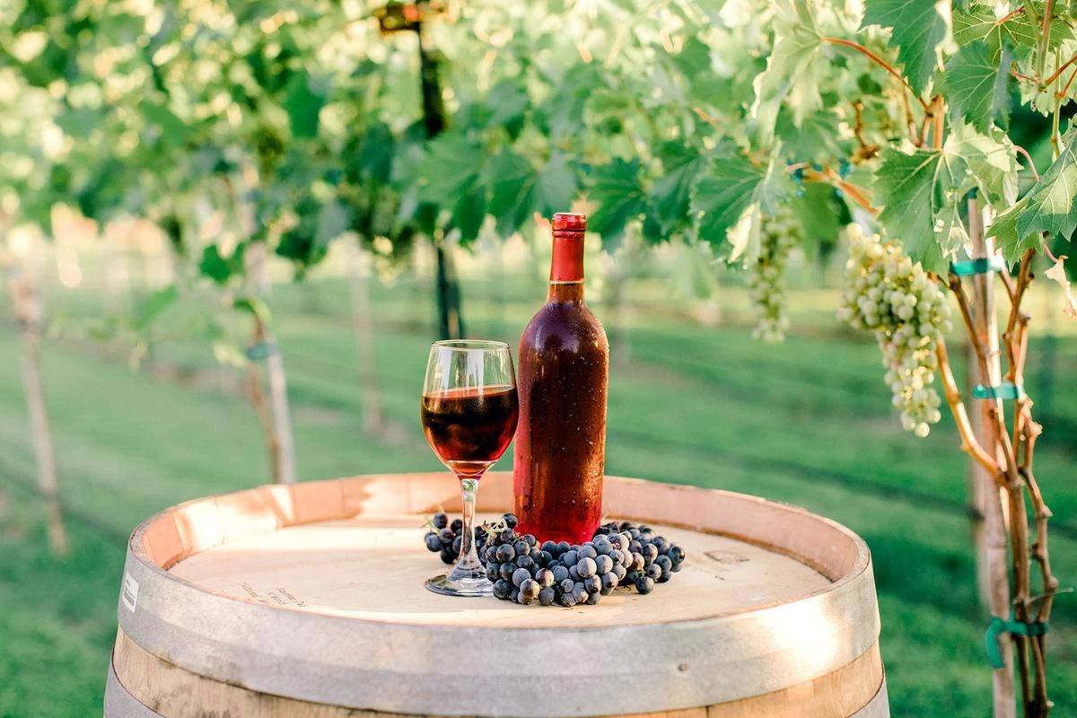 What to Expect During Oklahoma Wine Tours by Discover Wine Medium
