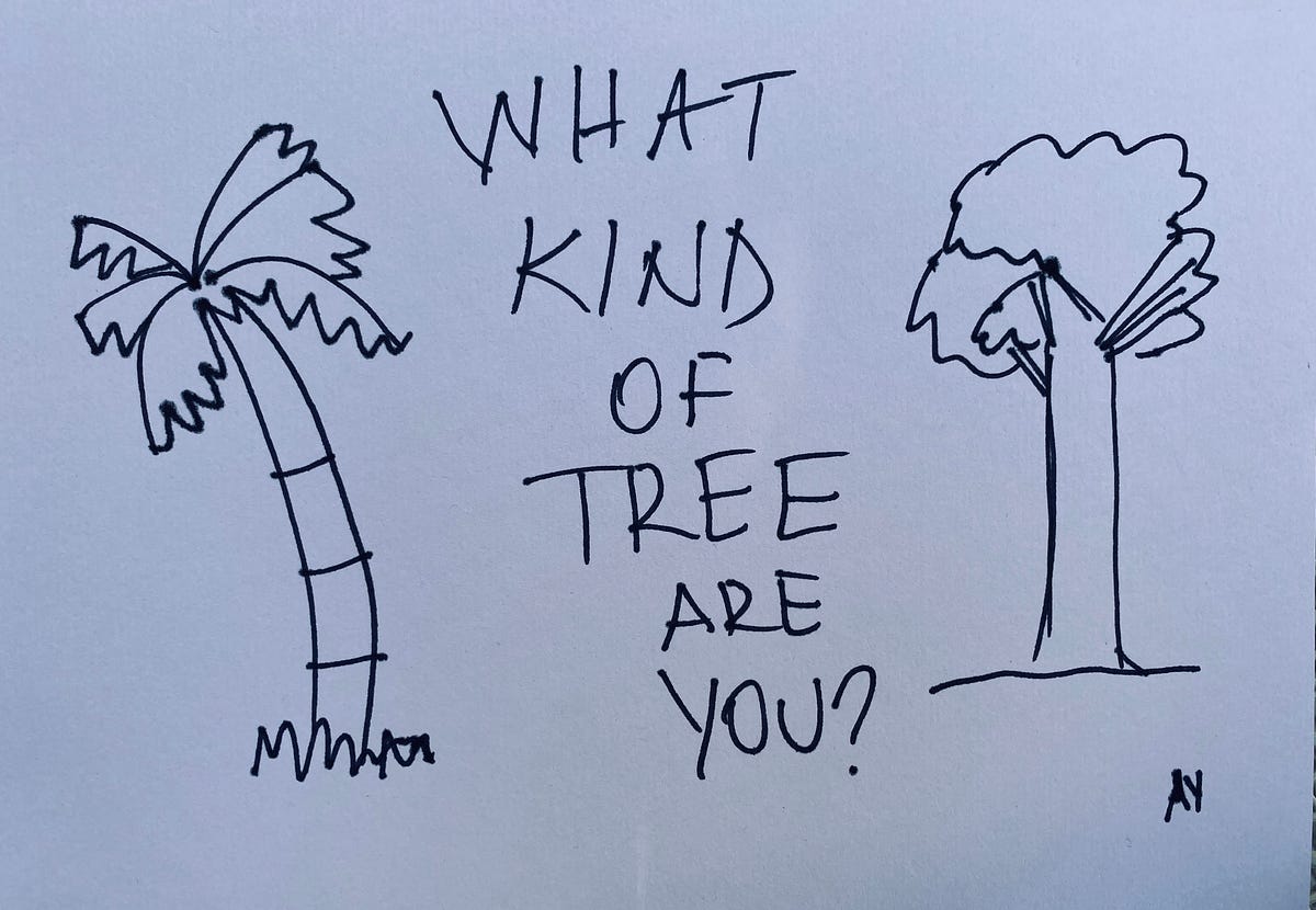 What kind of tree are you?. What kind of tree are you”? My friend… by