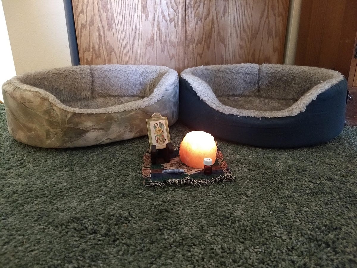How A Ceremony Helped Me Release My Deceased Cats' Beds by Eternal